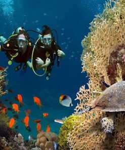 Мармарис дайвинг - погружение с аквалангом