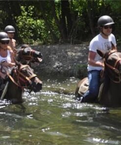  Мармарис прогулка на лошадях -верховая езда